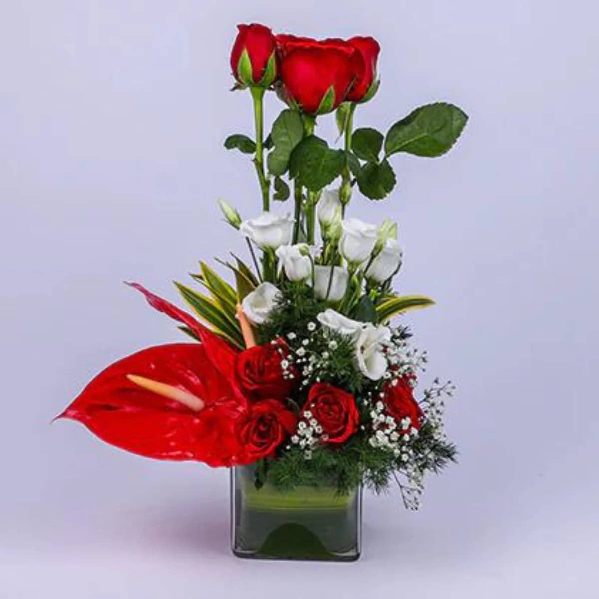 Ravishing Red Roses and Anthurium Vase - Perfect Red Roses Bouquet for Every Occasion
